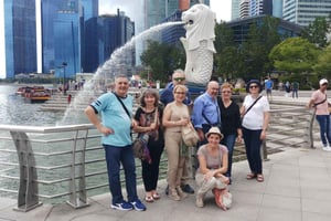 Singapour : Chinatown et Little India : visite à pied privée