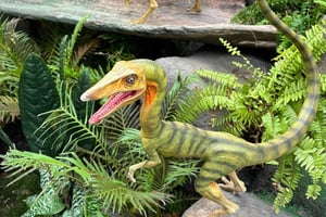 Singapore: stadsrondleiding en Jurassic World in Gardens by the Bay