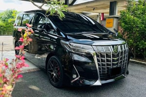 Singapore: Private Car Charter with Chauffeur (≥3-Hours)