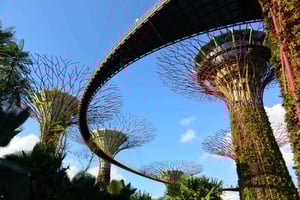 Singapore: Gardens by the Bay rondleiding/fotografie