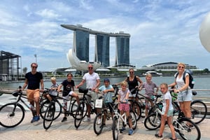 Singapore: Historische fietstocht van een halve dag