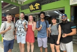 Singapour : Visite culinaire de Katong et découverte de la ville