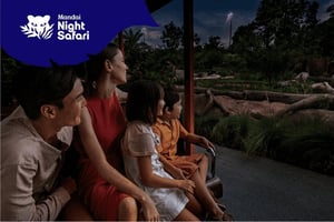 Сингапур: входной билет на Night Safari и поездка на трамвае