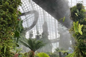 Singapore: Privat tilpasset tur med transport