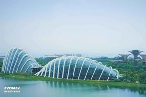 Сингапур: Частный трансфер из аэропорта Чанги SIN в центр города