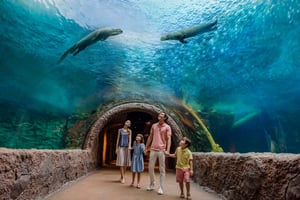 Сингапур: входной билет в River Wonders