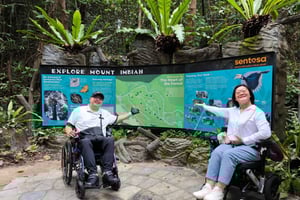 Singapore: Sentosa Island Wheelchair Accessible Tour