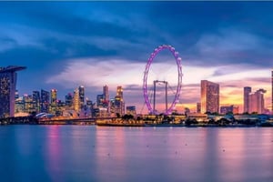 Singapore: Singapore Flyer -pääsylipun