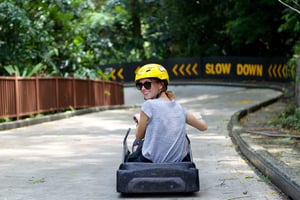 Singapore: Sentosa: Skyline Luge Sentosa Liput