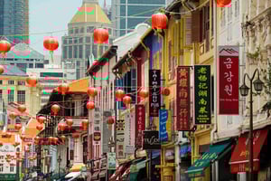 Wandeltour van 3 uur door Singapore: Chinatown-Kampong Glam