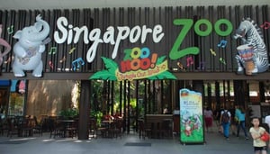 Singapore Zoo