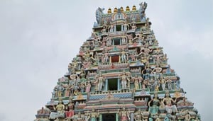 Sri Srinivasa Perumal Temple