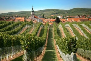 Bratislava: 6,5-Hour Carpathian Wine Tour and Tasting