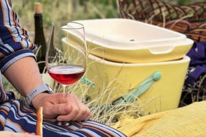 Bratislava: Paseo por los viñedos y picnic con vino con la enóloga