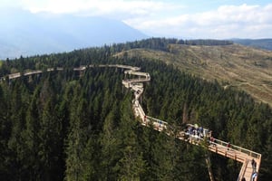 Desde Cracovia: Paseo por las copas de los árboles y baños termales de Eslovaquia