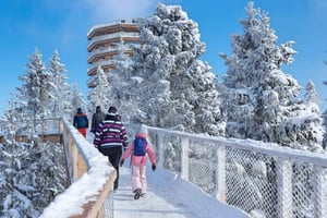 From Kraków: Mountain Treetop Walk & Zakopane Day Trip