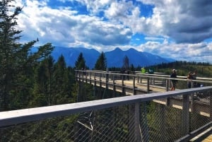 From Kraków: Mountain Treetop Walk & Zakopane Day Trip