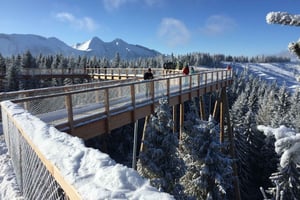 Kraków: Slovakia Treetop Walk & Zakopane Tour (henting på hotellet)