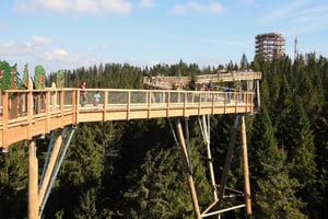 Sky Walk Heart of Poronin y baños termales desde Cracovia