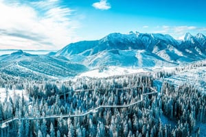 Zakopane: Treetop Walk & Cable Car with Pickup
