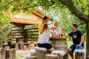 Bled: Vintgar Gorge bedste oplevelse og madsmagning