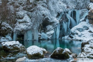 Excursion hivernale à Bled : cascade de la gorge de Vintgar et déjeuner slovène
