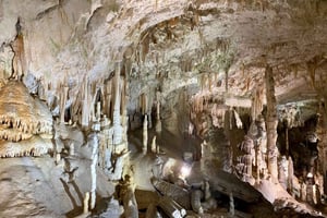 Fra Ljubljana: Postojna Cave Dagstur