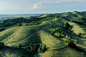 Ljubljana: Ptuj & Haloze Wine Cellar Tour with Tastings