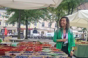 Ljubljana: Streetfood-tur med lokale bidder og højdepunkter