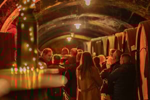 Maribor: Vinag Weinkeller Tour mit Weinverkostung und Snacks