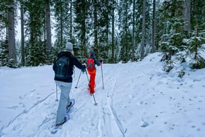 Schneeschuhwandern im Triglav-Nationalpark