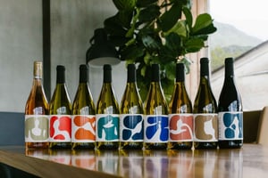 Ljubljana : Dégustation de vin dans un vignoble familial privé