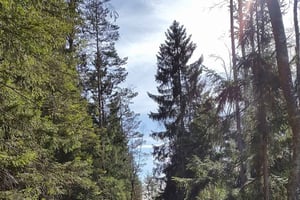 Nature Hike from Stockholm