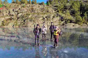 Стокгольм: семейный частный тур на коньках и обед