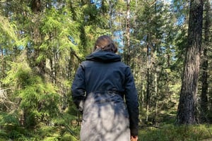 ストックホルム、専門家によるキノコと野生植物の採集ツアー