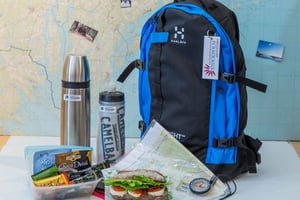 Sztokholm: Wędrówki z przewodnikiem wśród pięknej przyrody