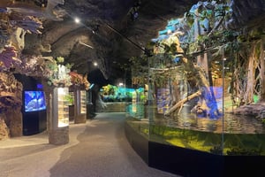 Стокгольм: входной билет в океанариум Скансен