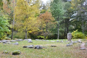 Halvdagstur med vikingehistorie fra Stockholm