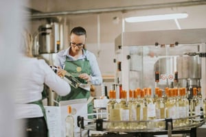 Brindisi: Winery Tour & Guided Selection Wine Tasting