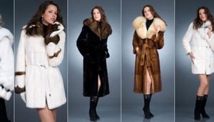 Elena Furs