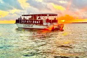Fabulous Florida Sunset Cruise Including Dolphins