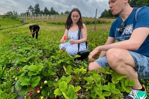 FARM STAY EXPERIENCE & DOZZA - Private Day Tour von Bologna aus