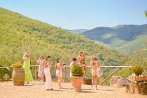 Florens: Tur till Chiantis vingårdar med vinprovning