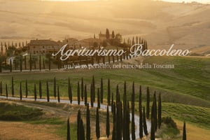 フィレンツェ:シエナ＆バッコレーノ＆チャペル日帰りツアー(ドライバー付)