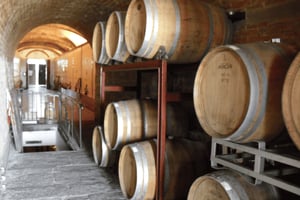 Fra Livorno: Privat udflugt til Pisa og Firenze