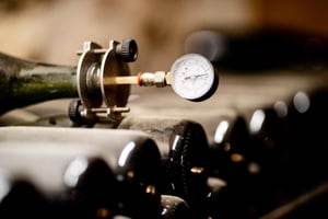 A partir de Roma: Tour e degustação na adega Cantina Le Macchie