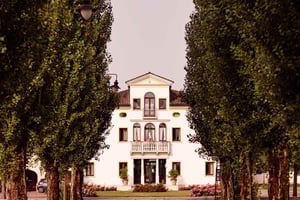 贅沢なワイン体験: ベネチアの最高のブドウ園を味わう