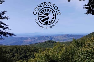 Monte Amiata: Trekking in the majestic beech forests of the mountain