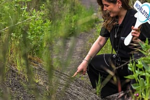 Naples: Pompeii and Mt Vesuvius Small-Group Tour with Lunch