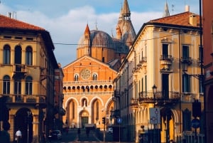 Padova: Scrovegnin kappelissa vierailu: Yksityinen kaupunkikävelykierros & Scrovegnin kappelissa vierailu